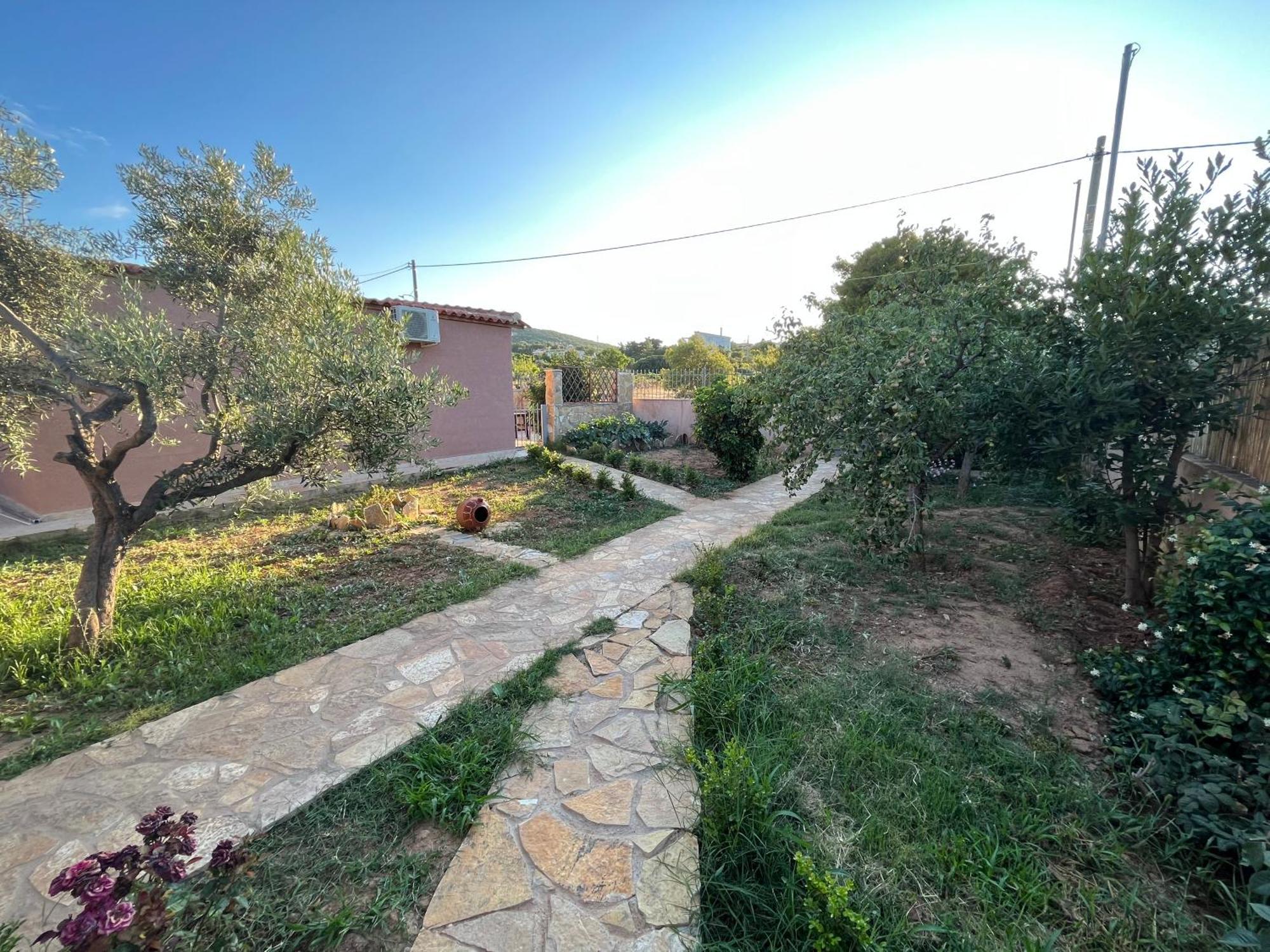 Luxury House 15 Minutes From Ath Villa Spáta Екстериор снимка